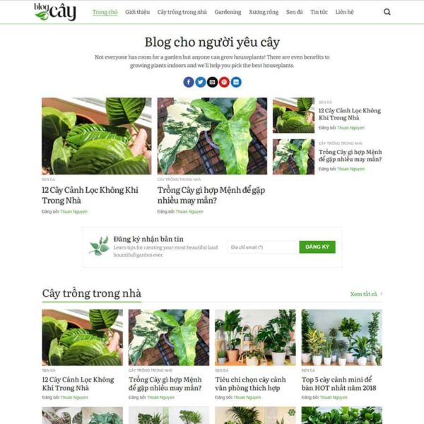 Theme WordPress tin tức 12 - Chothemewp